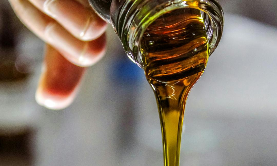 El principal concurso internacional de aceite de oliva llega a Uruguay