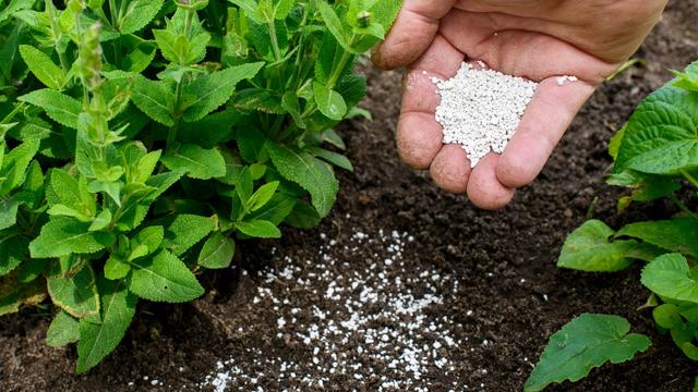 Latitud – Fundación LATU consolida a Uruguay como pionero en el estudio de fertilizantes nitrogenados utilizando hidrógeno verde y capturando dióxido de carbono de emisiones industriales